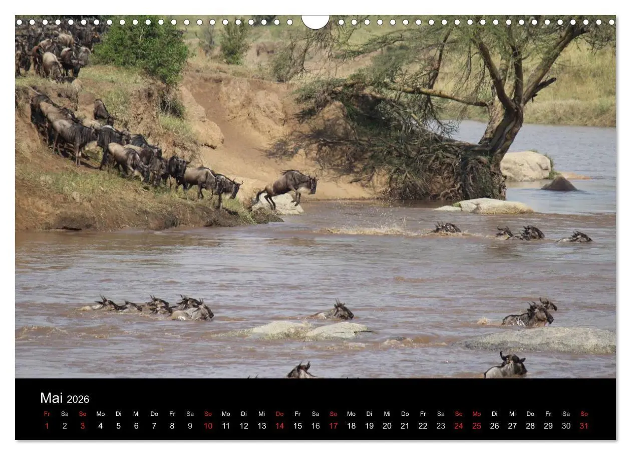 Bild: 9783516151831 | Tansania (Wandkalender 2026 DIN A3 quer), CALVENDO Monatskalender