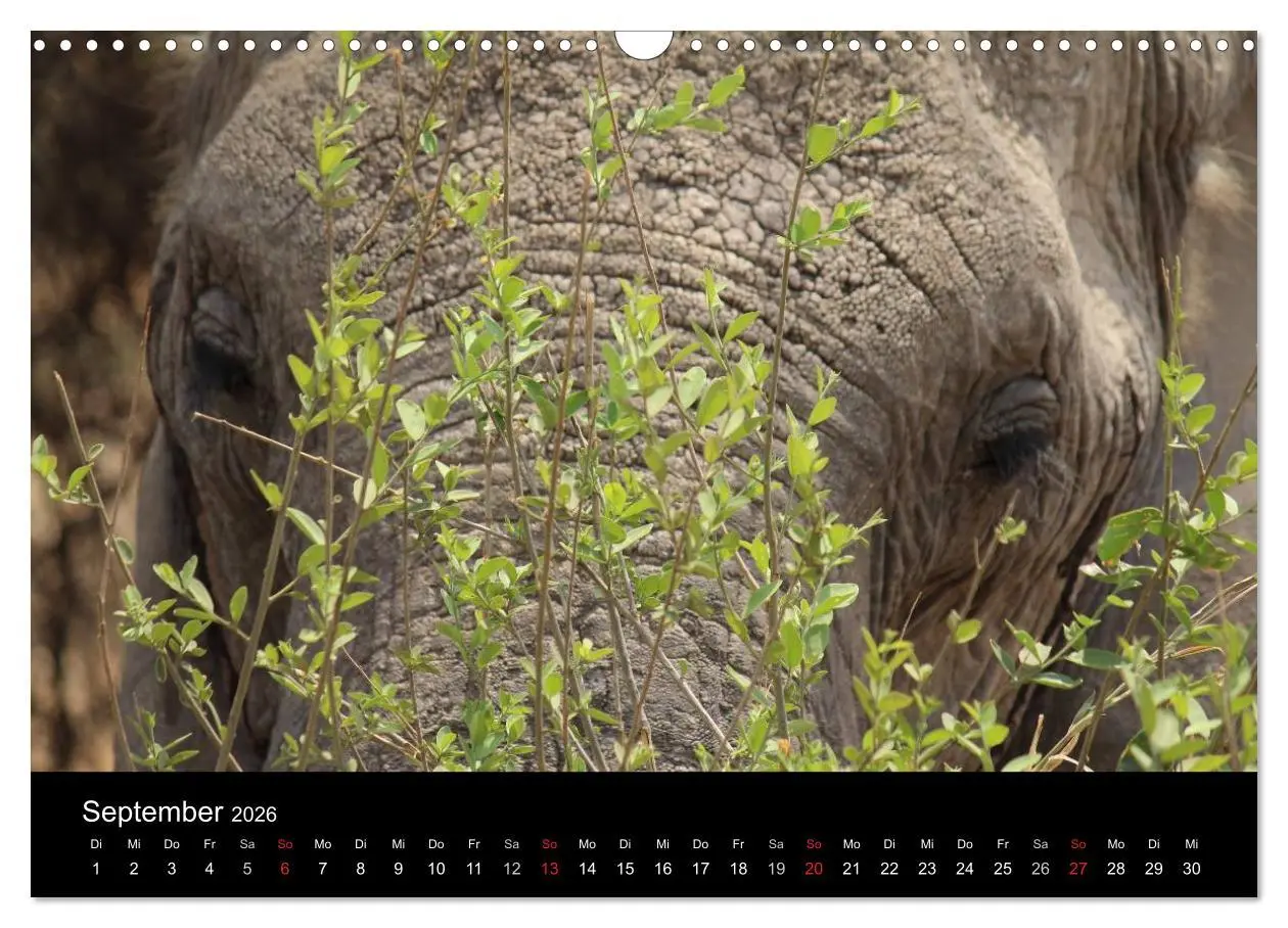 Bild: 9783516151831 | Tansania (Wandkalender 2026 DIN A3 quer), CALVENDO Monatskalender