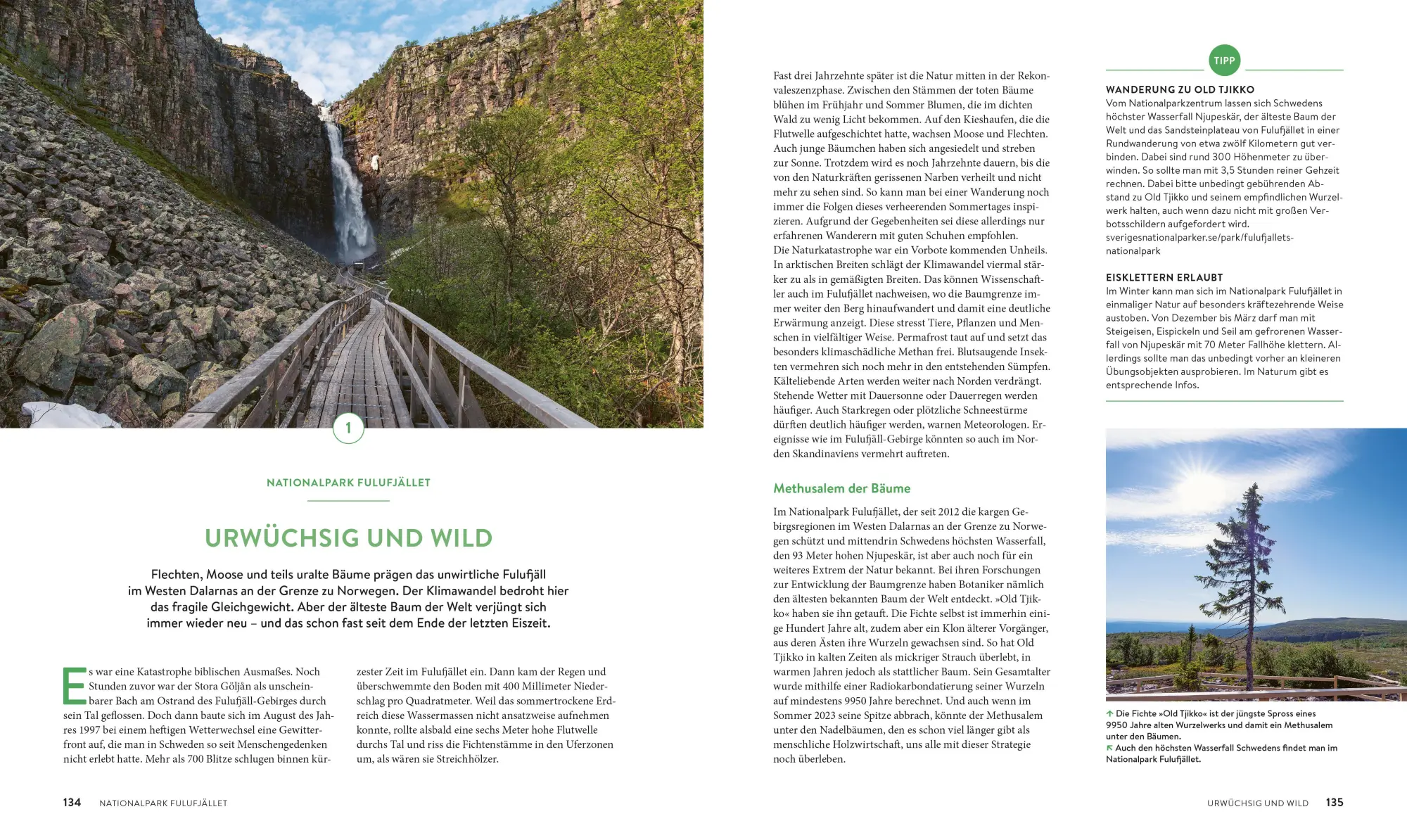 Bild: 9783734331831 | Roadtrips Schweden | Martin Wein | Buch | 192 S. | Deutsch | 2025