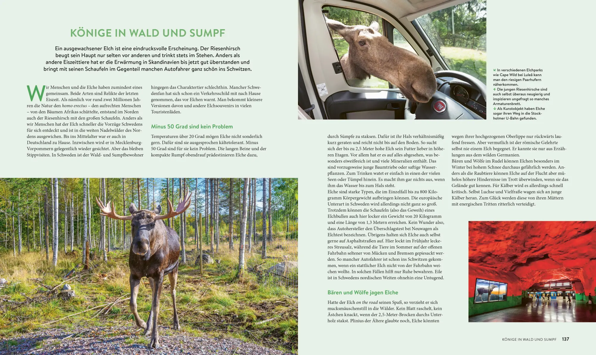 Bild: 9783734331831 | Roadtrips Schweden | Martin Wein | Buch | 192 S. | Deutsch | 2025
