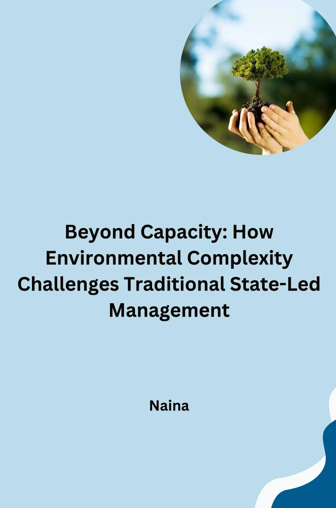 Beyond Capacity How Environmental Complexity Challenges Traditional State-Led Management - Naina Kartoniert (TB)