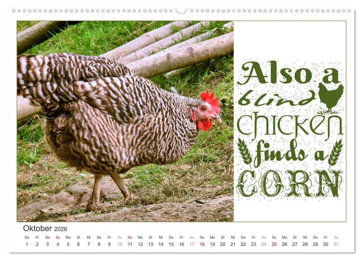 Bild: 9783457702031 | Tierisch Denglisch (Wandkalender 2026 DIN A2 quer), CALVENDO...
