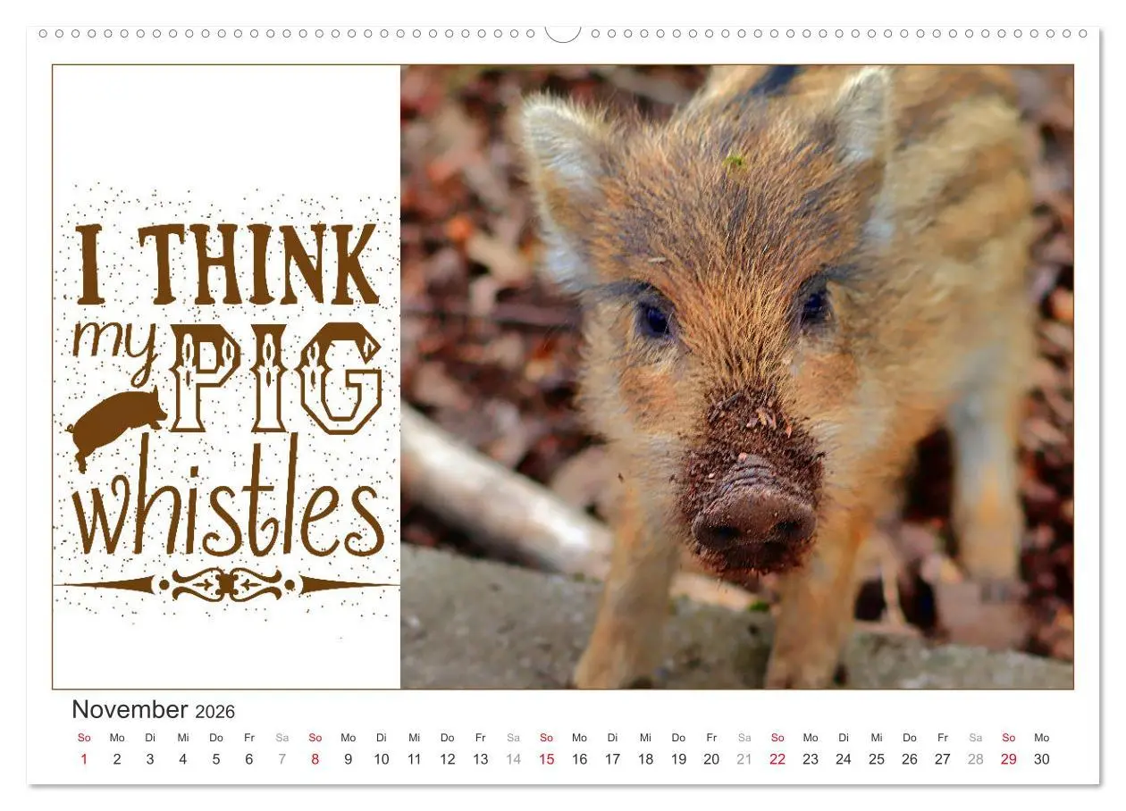 Bild: 9783457702031 | Tierisch Denglisch (Wandkalender 2026 DIN A2 quer), CALVENDO...