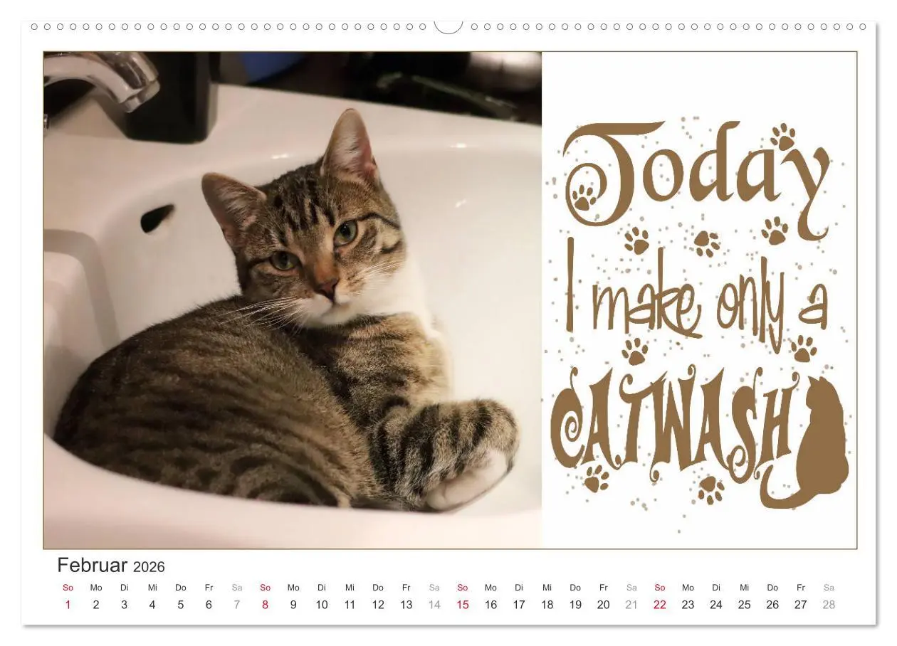 Bild: 9783457702031 | Tierisch Denglisch (Wandkalender 2026 DIN A2 quer), CALVENDO...