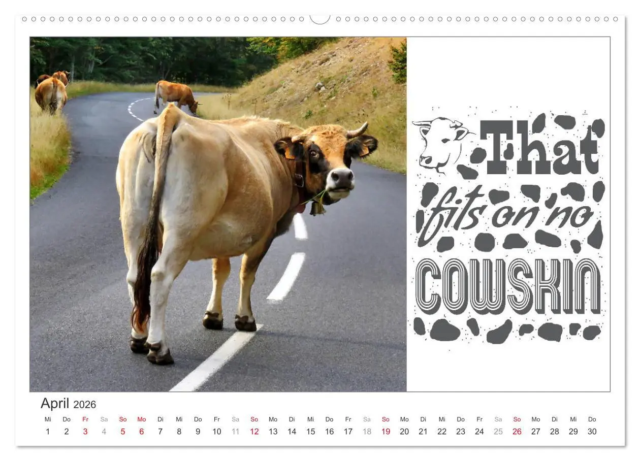Bild: 9783457702031 | Tierisch Denglisch (Wandkalender 2026 DIN A2 quer), CALVENDO...