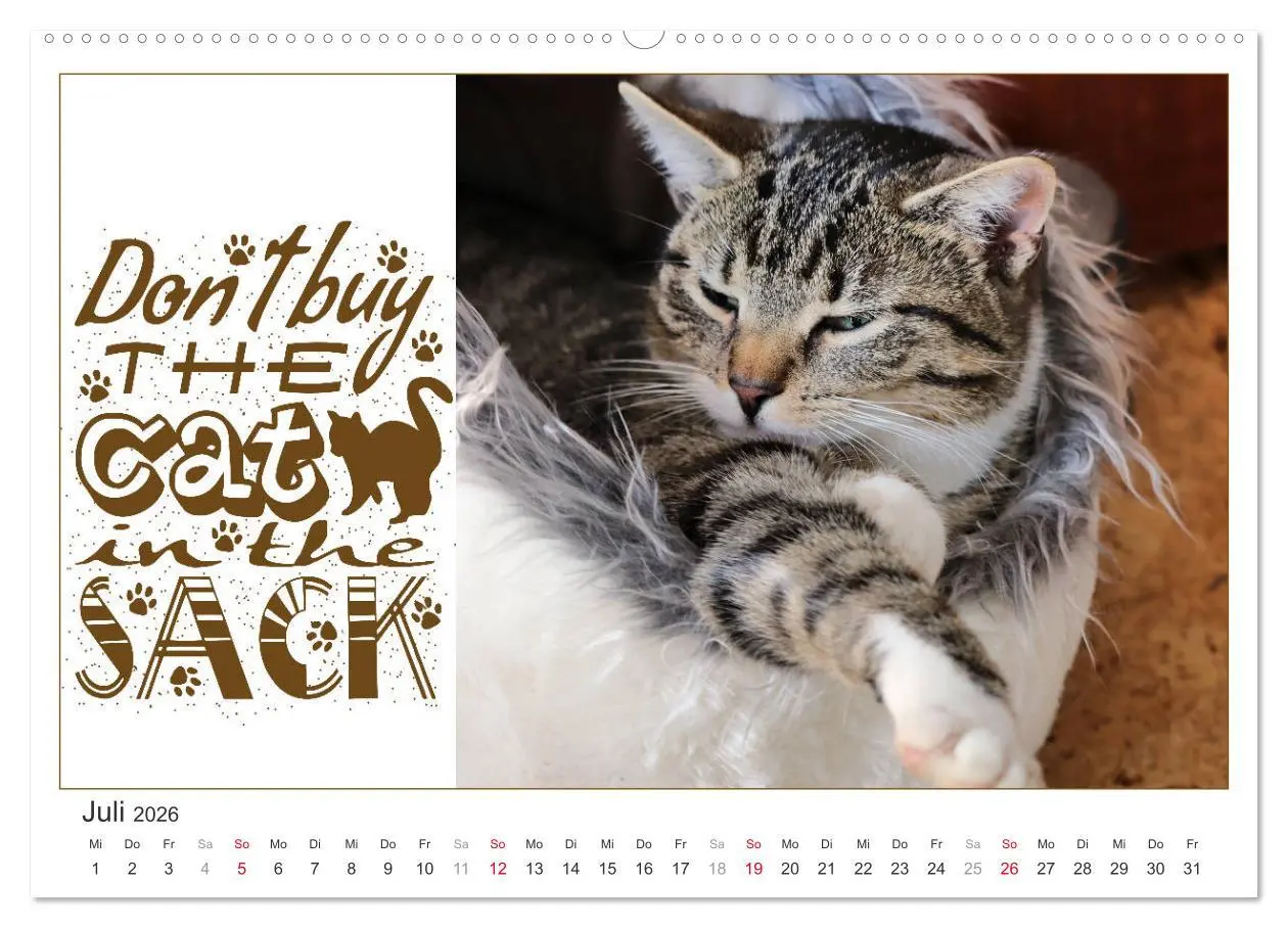 Bild: 9783457702031 | Tierisch Denglisch (Wandkalender 2026 DIN A2 quer), CALVENDO...