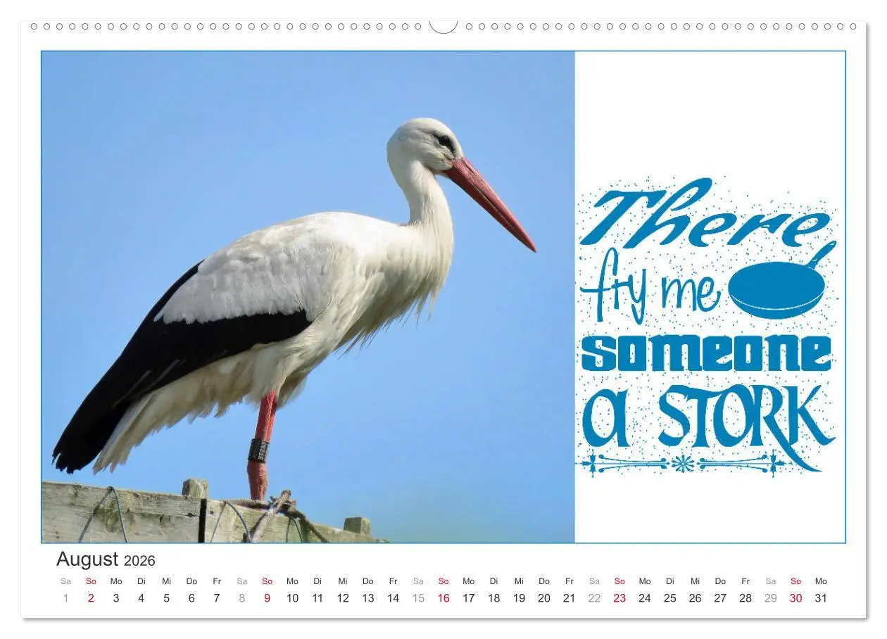 Bild: 9783457702031 | Tierisch Denglisch (Wandkalender 2026 DIN A2 quer), CALVENDO...