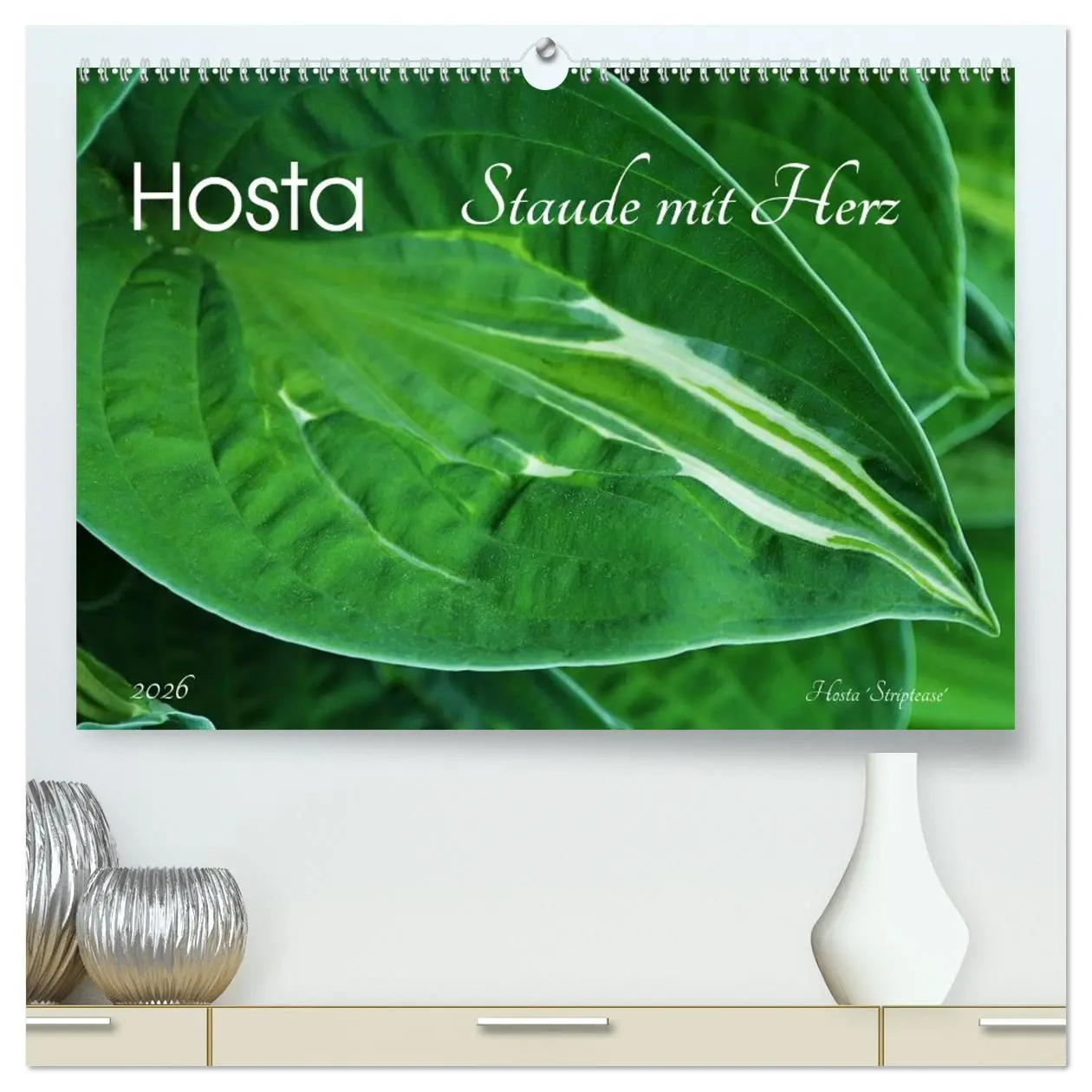 Cover: 9783516032031 | Hosta Staude mit Herz (hochwertiger Premium Wandkalender 2026 DIN...