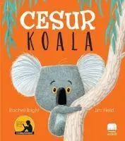 Cover: 9786257662031 | Cesur Koala | Rachel Bright (u. a.) | Taschenbuch | Türkisch | 2021