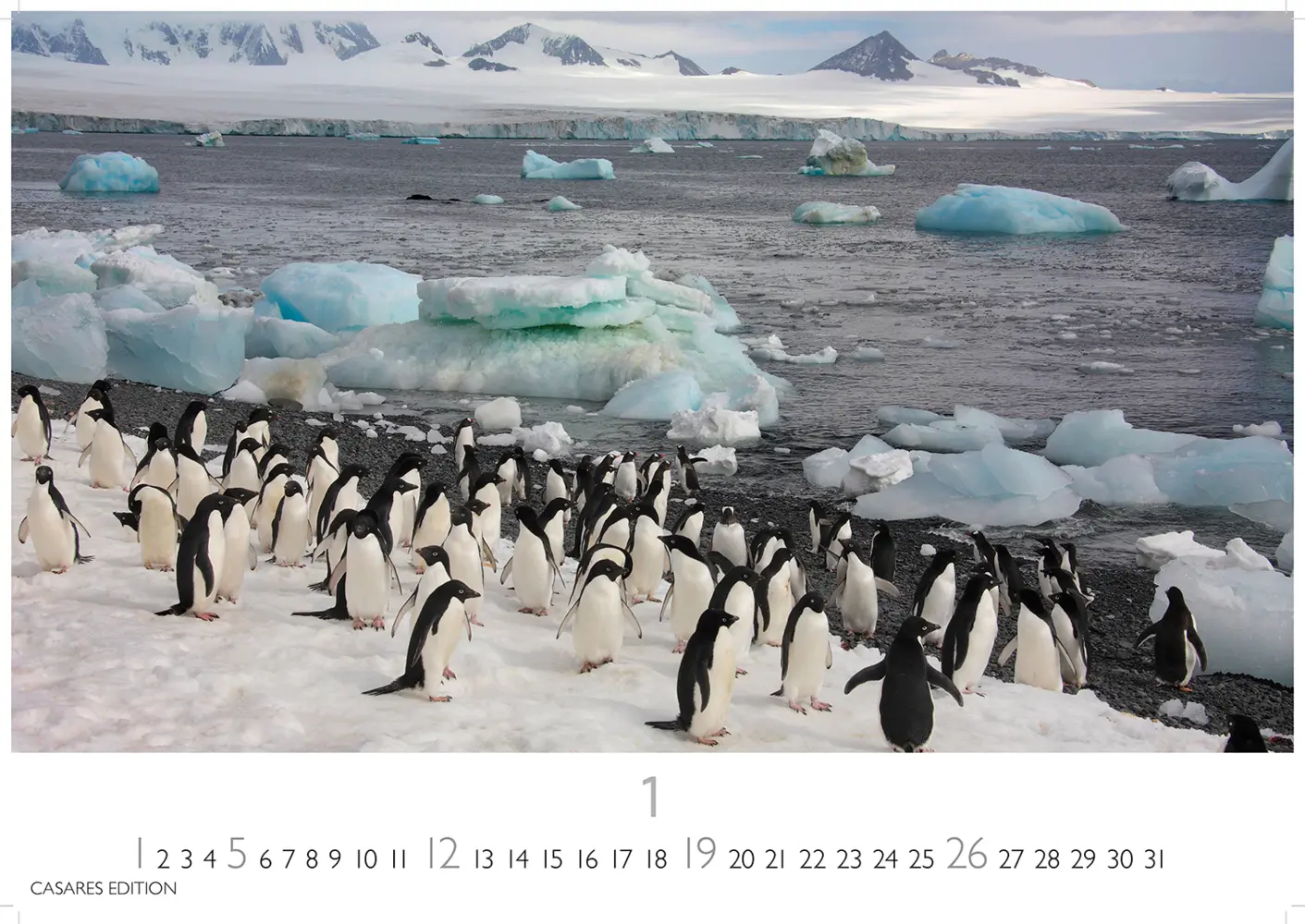 Bild: 9781835242131 | Arctic Landscape 2025 S 24x35cm | Kalender | Deutsch | 2025