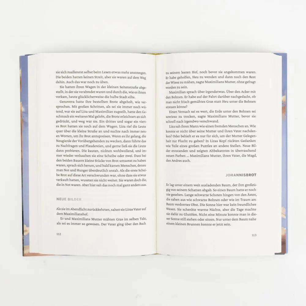 Bild: 9783737102131 | Niemals nichts | Ralf Westhoff | Buch | 224 S. | Deutsch | 2025