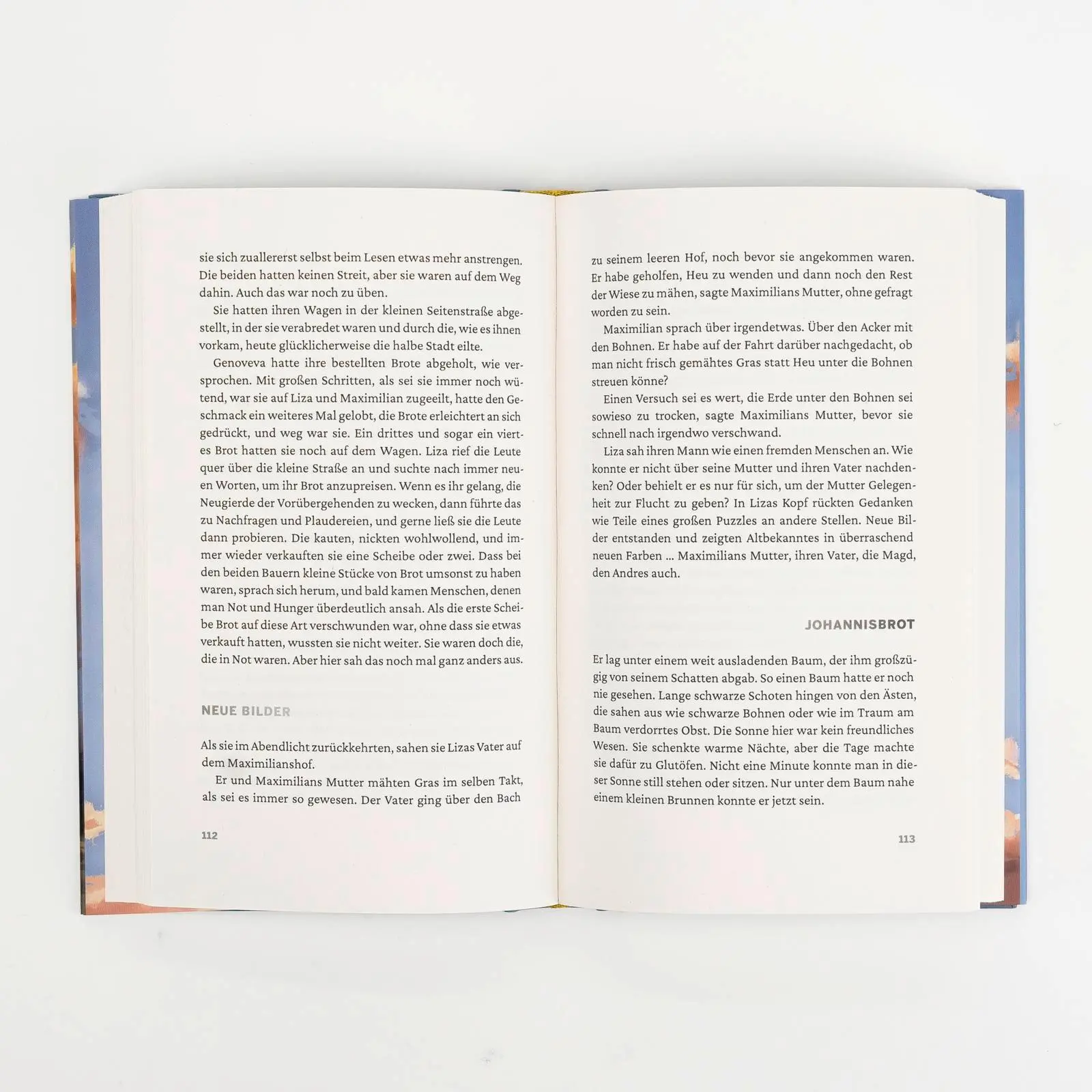 Bild: 9783737102131 | Niemals nichts | Ralf Westhoff | Buch | 224 S. | Deutsch | 2025