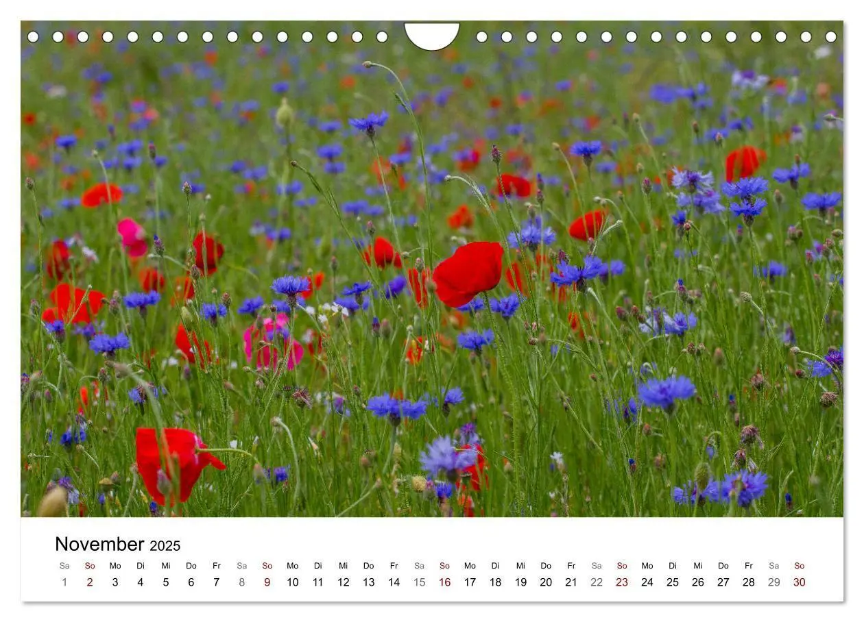 Bild: 9783435452231 | Klosterinsel Reichenau - UNESCO-Welterbe am Bodensee (Wandkalender...