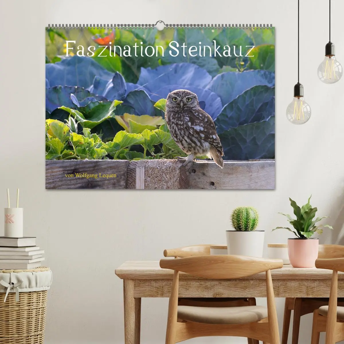 Bild: 9783457612231 | Faszination Steinkauz (Wandkalender 2026 DIN A2 quer), CALVENDO...