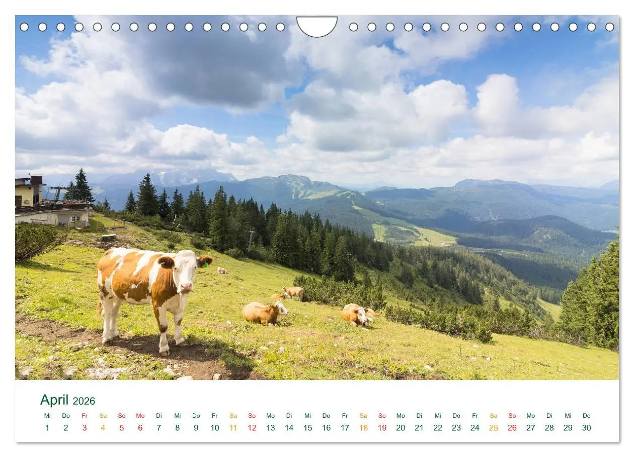 Bild: 9783457782231 | Auf der Winklmoosalm (Wandkalender 2026 DIN A4 quer), CALVENDO...