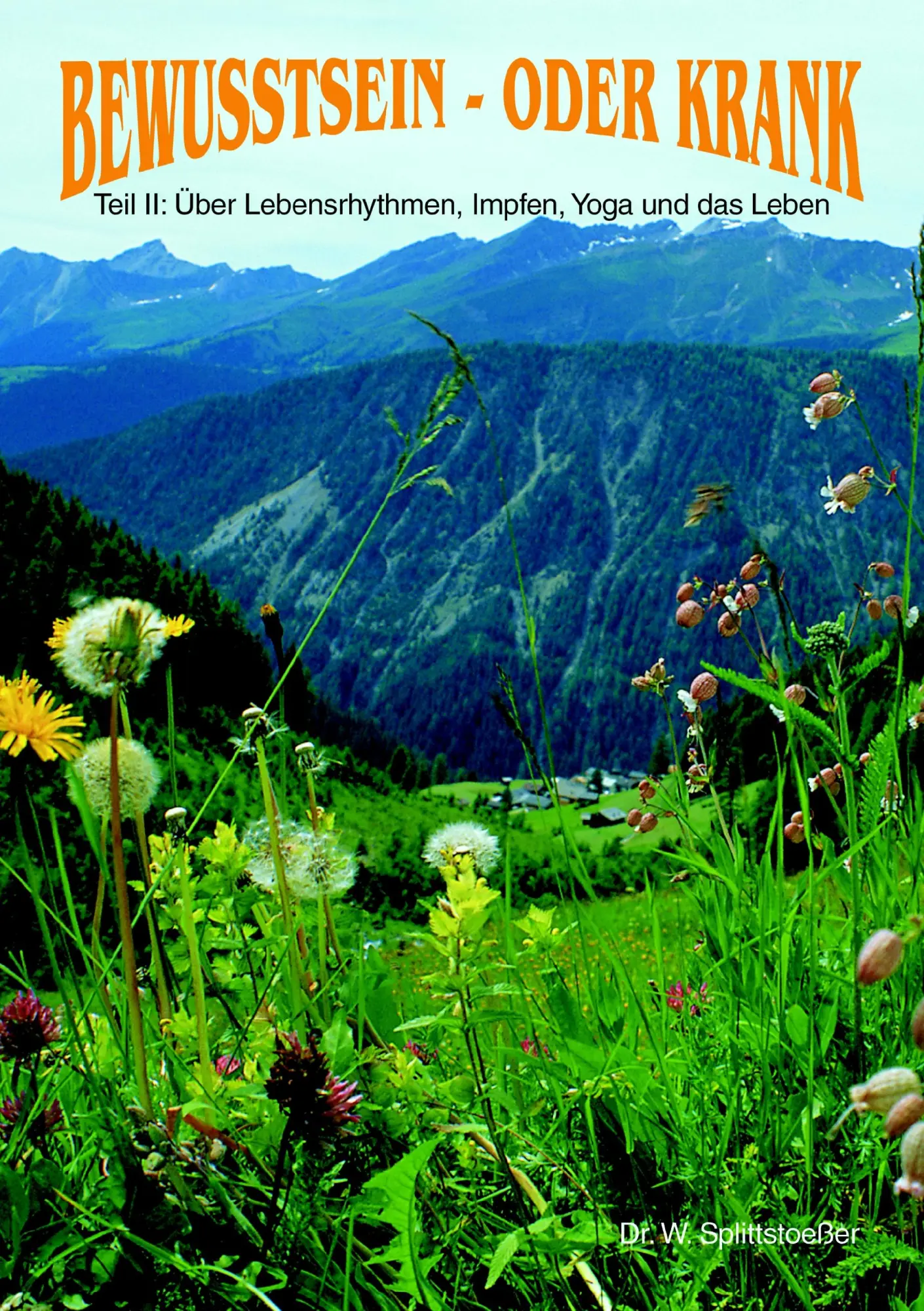Cover: 9783934022331 | Bewußt sein oder Krank Teil 2 | Wulf Splittstoeßer | Taschenbuch