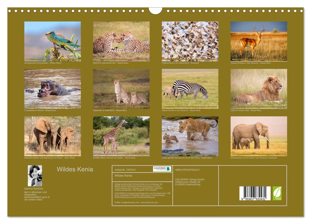 Bild: 9783457832431 | Wildes Kenia (Wandkalender 2026 DIN A3 quer), CALVENDO Monatskalender