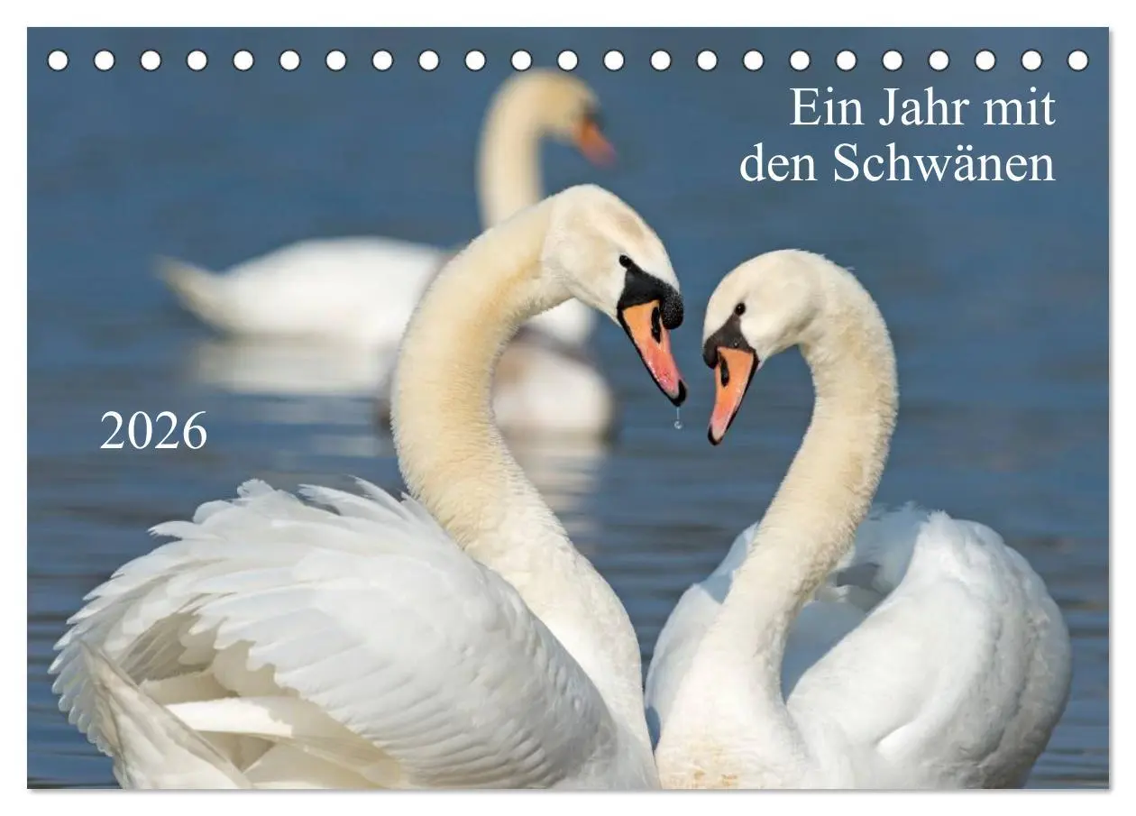 Cover: 9783516092431 | Ein Jahr mit den Schwänen (Tischkalender 2026 DIN A5 quer),...