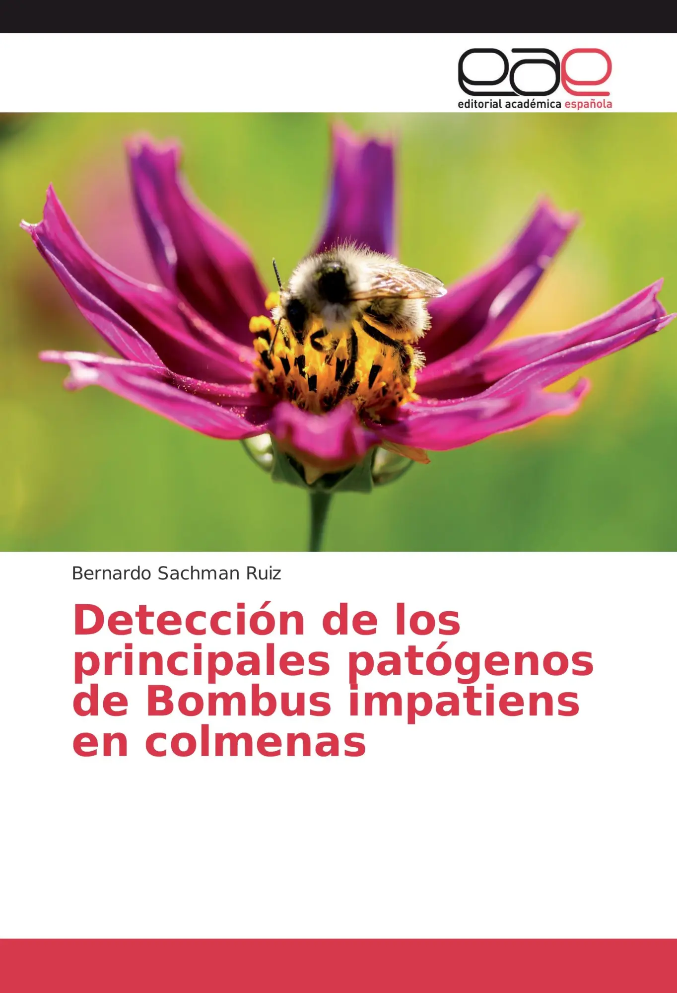 Cover: 9783639782431 | Detección de los principales patógenos de Bombus impatiens en colmenas