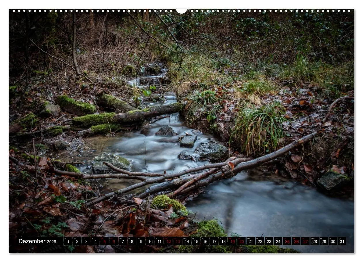 Bild: 9783457822531 | Wege des einfachen Glücks - Spaziergänge im Wald (Wandkalender 2026...