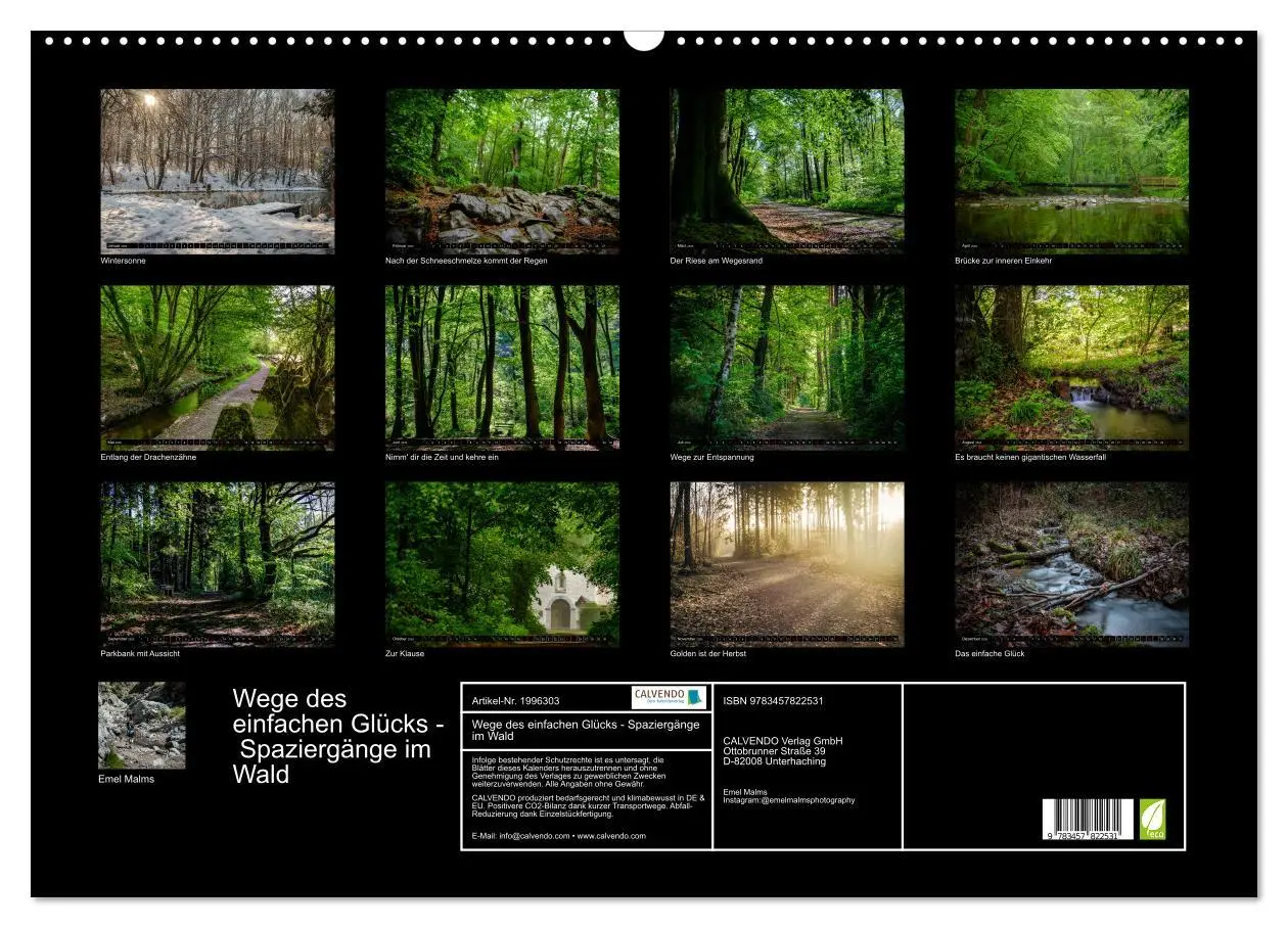 Bild: 9783457822531 | Wege des einfachen Glücks - Spaziergänge im Wald (Wandkalender 2026...