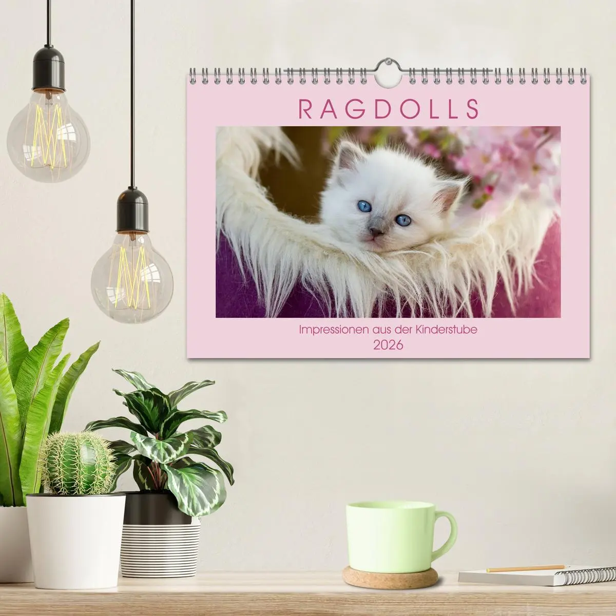 Bild: 9783457812631 | RAGDOLLS Impressionen aus der Kinderstube (Wandkalender 2026 DIN A4...