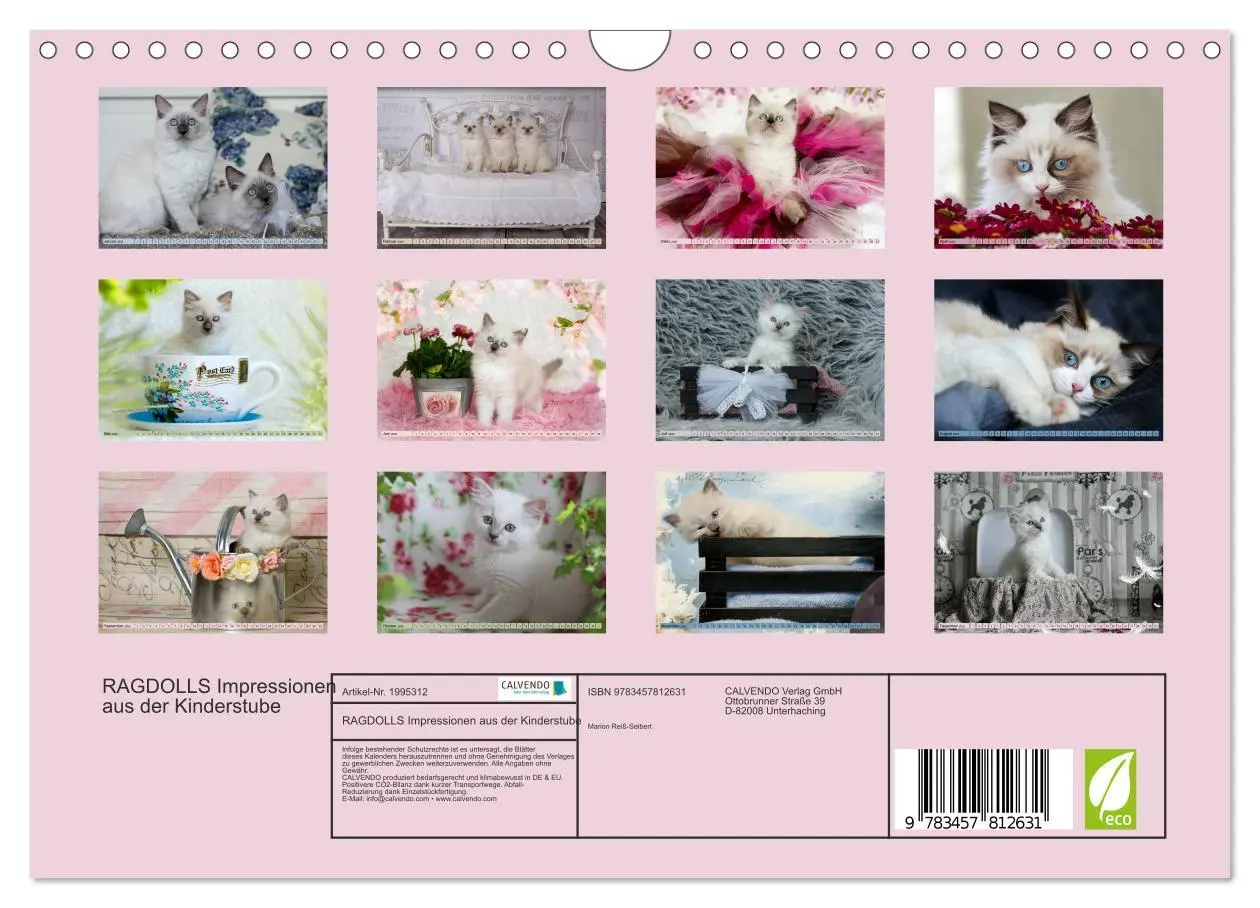 Bild: 9783457812631 | RAGDOLLS Impressionen aus der Kinderstube (Wandkalender 2026 DIN A4...
