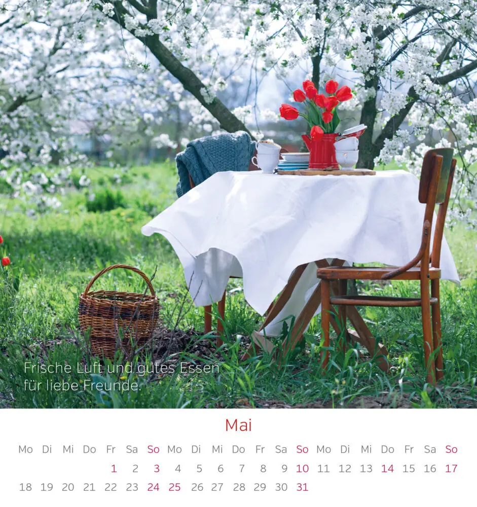 Bild: 9783957482631 | Gute Laune Kalender 2026 | Kalender | Spiralbindung | 13 S. | Deutsch
