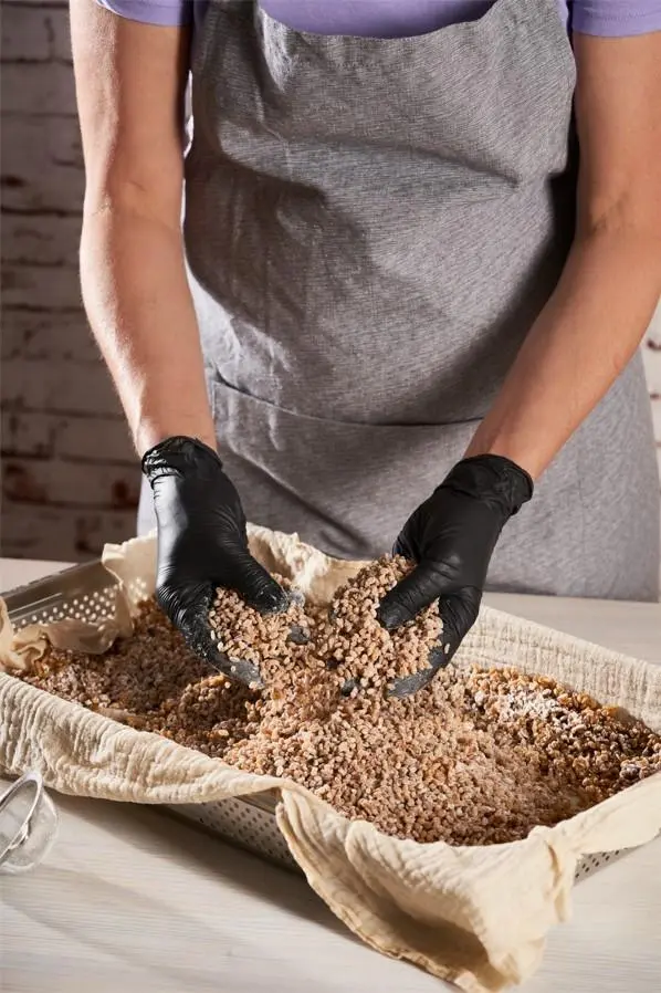Bild: 9783039022731 | Koji Miso Shoyu Tempeh | Sibylle Hunger | Buch | 272 S. | Deutsch
