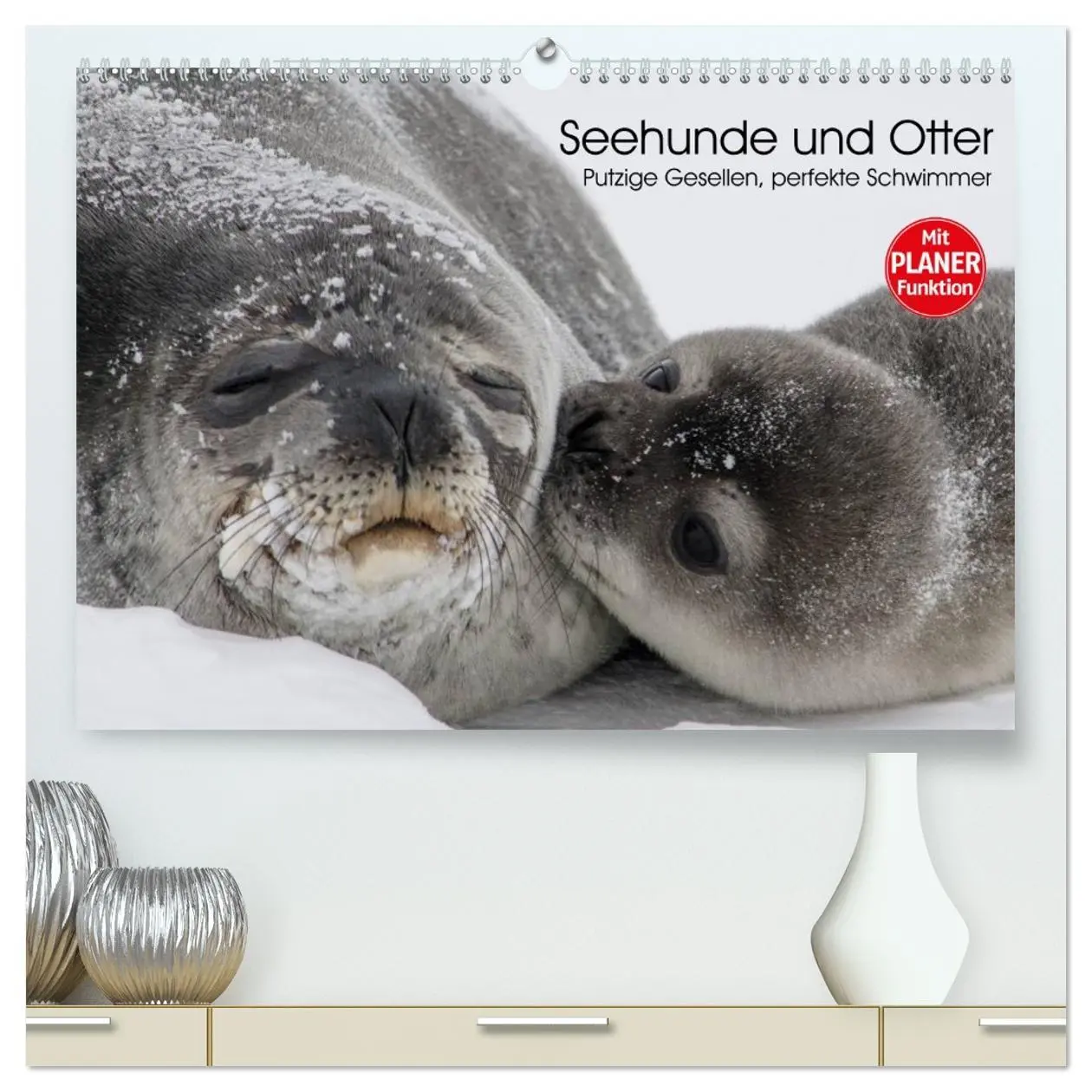 Cover: 9783457972731 | Seehunde und Otter. Putzige Gesellen, perfekte Schwimmer...