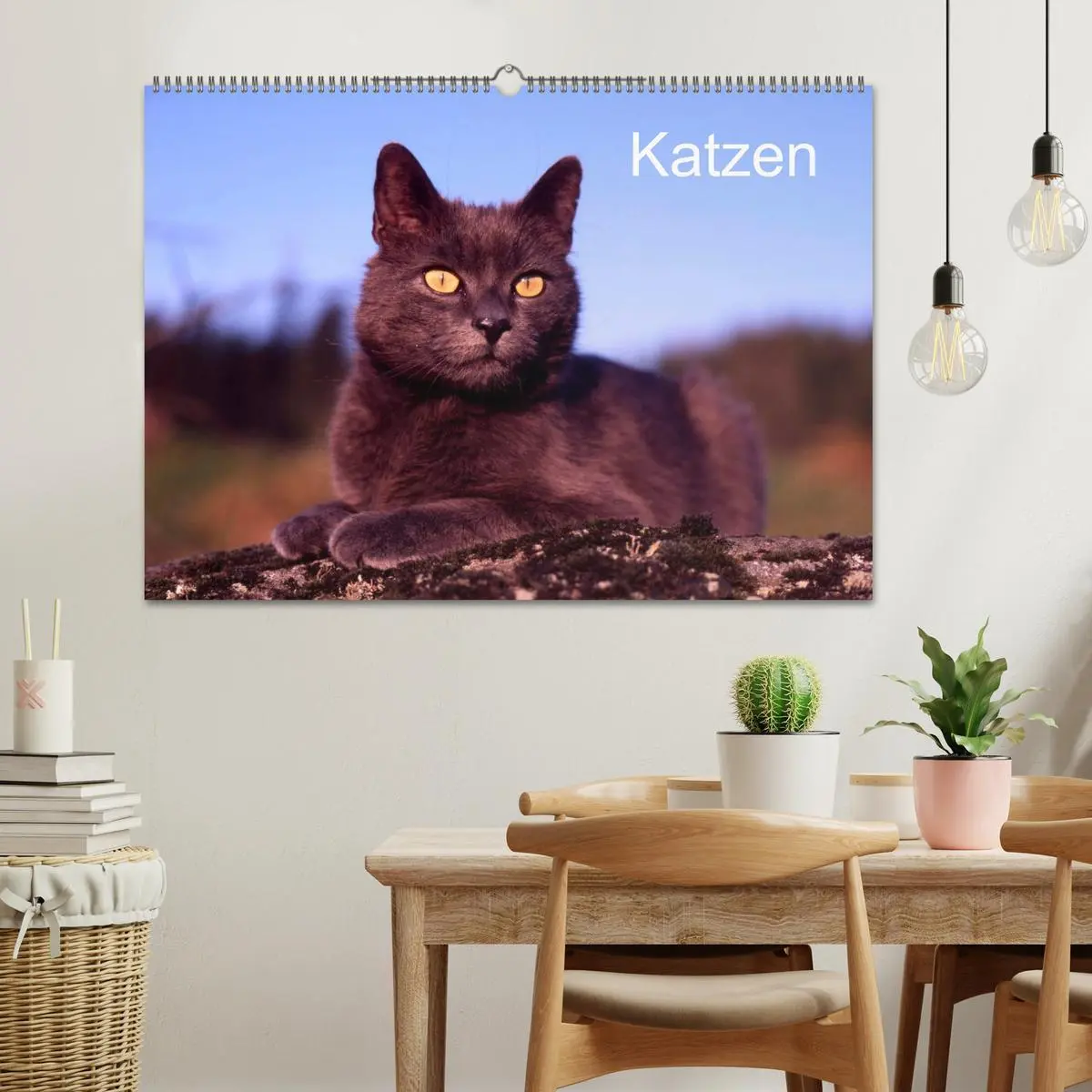 Bild: 9783516202731 | Katzen (Wandkalender 2026 DIN A2 quer), CALVENDO Monatskalender | 2026