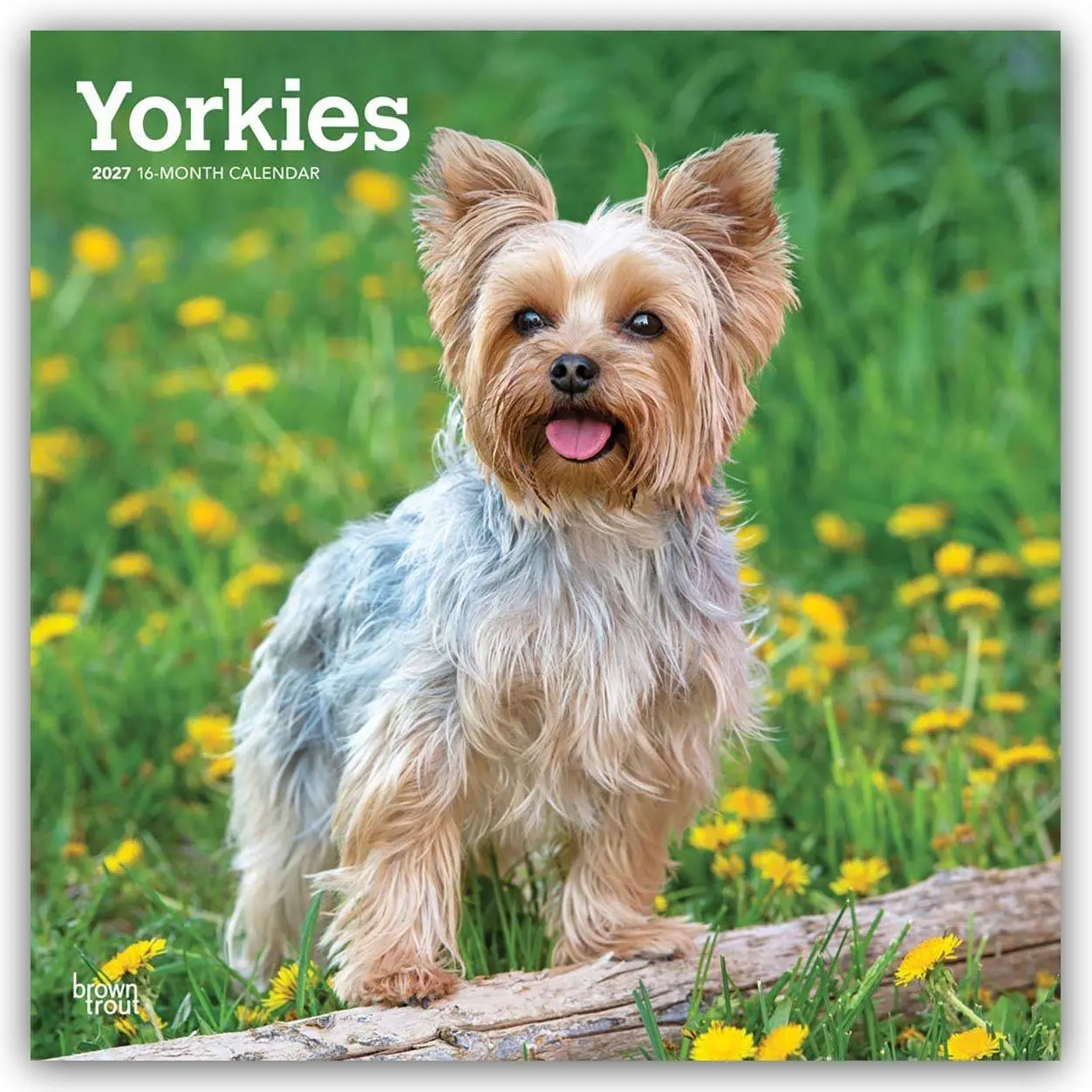 Cover: 9798330712731 | Yorkshire Terriers - Yorkshire Terrier - Yorkies 2027 -...