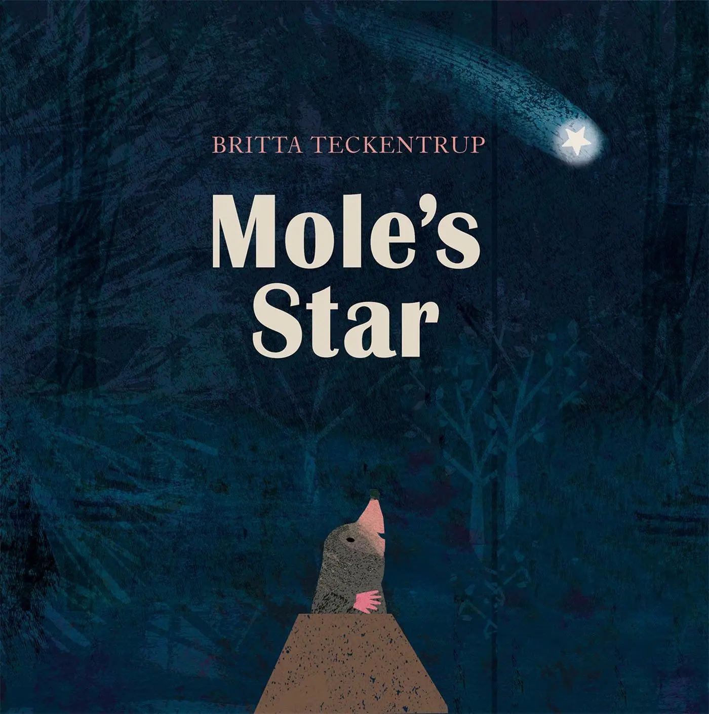 Cover: 9781408342831 | Mole's Star | Britta Teckentrup | Taschenbuch | 32 S. | Englisch