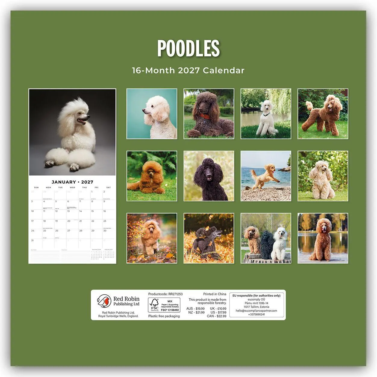 Bild: 9781837012831 | Poodles - Pudel 2027 - 16-Monatskalender | Robin Red | Kalender | 2027