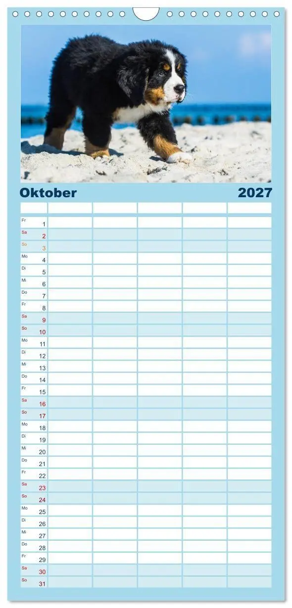 Bild: 9783594342831 | Familienplaner 2027 - Seebärchen entdecken die Welt - Berner...
