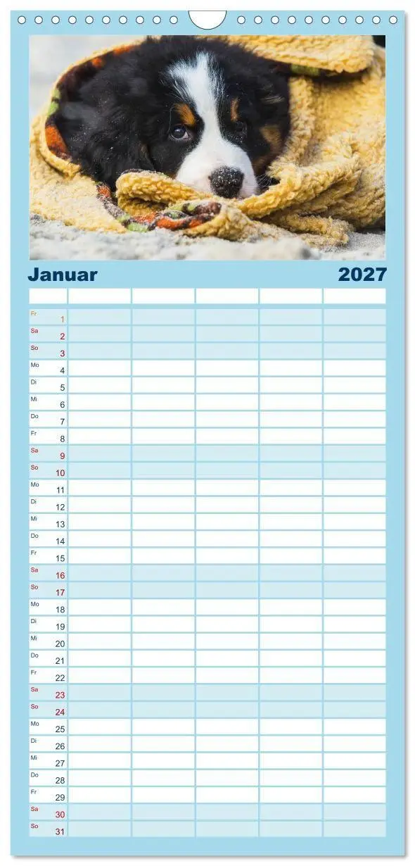 Bild: 9783594342831 | Familienplaner 2027 - Seebärchen entdecken die Welt - Berner...
