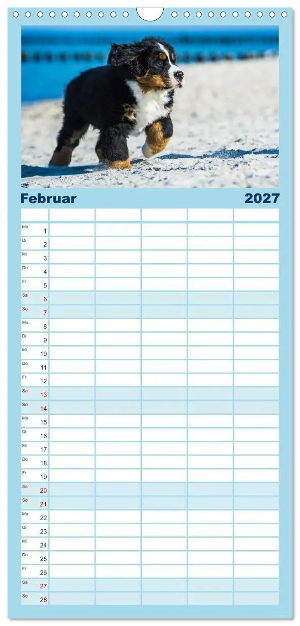 Bild: 9783594342831 | Familienplaner 2027 - Seebärchen entdecken die Welt - Berner...