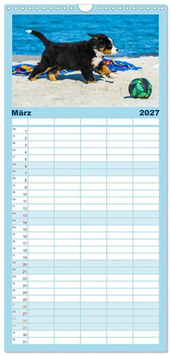 Bild: 9783594342831 | Familienplaner 2027 - Seebärchen entdecken die Welt - Berner...
