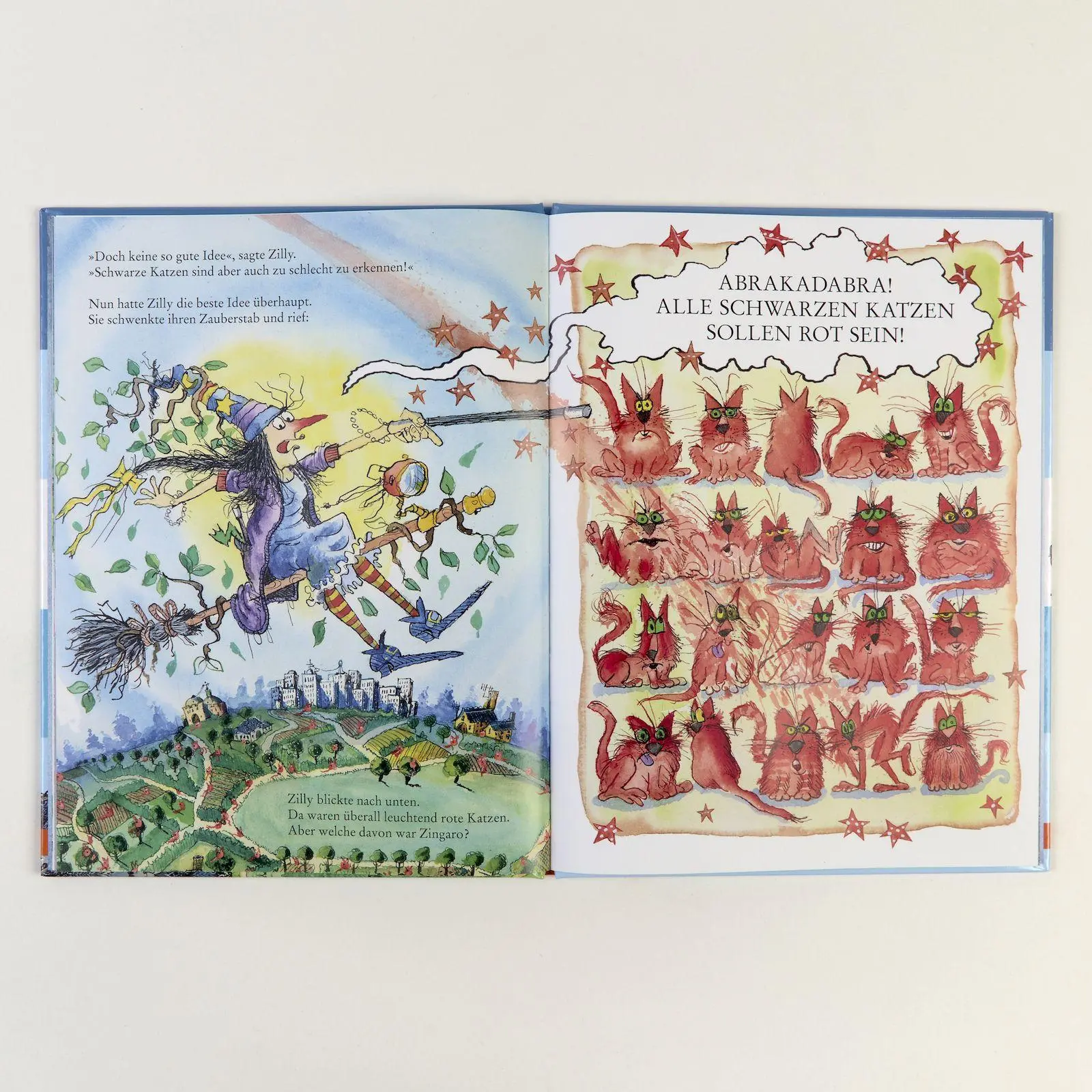 Bild: 9783407762931 | Zilly und Zingaro. Wo ist Zingaro? | Vierfarbiges Bilderbuch | Buch