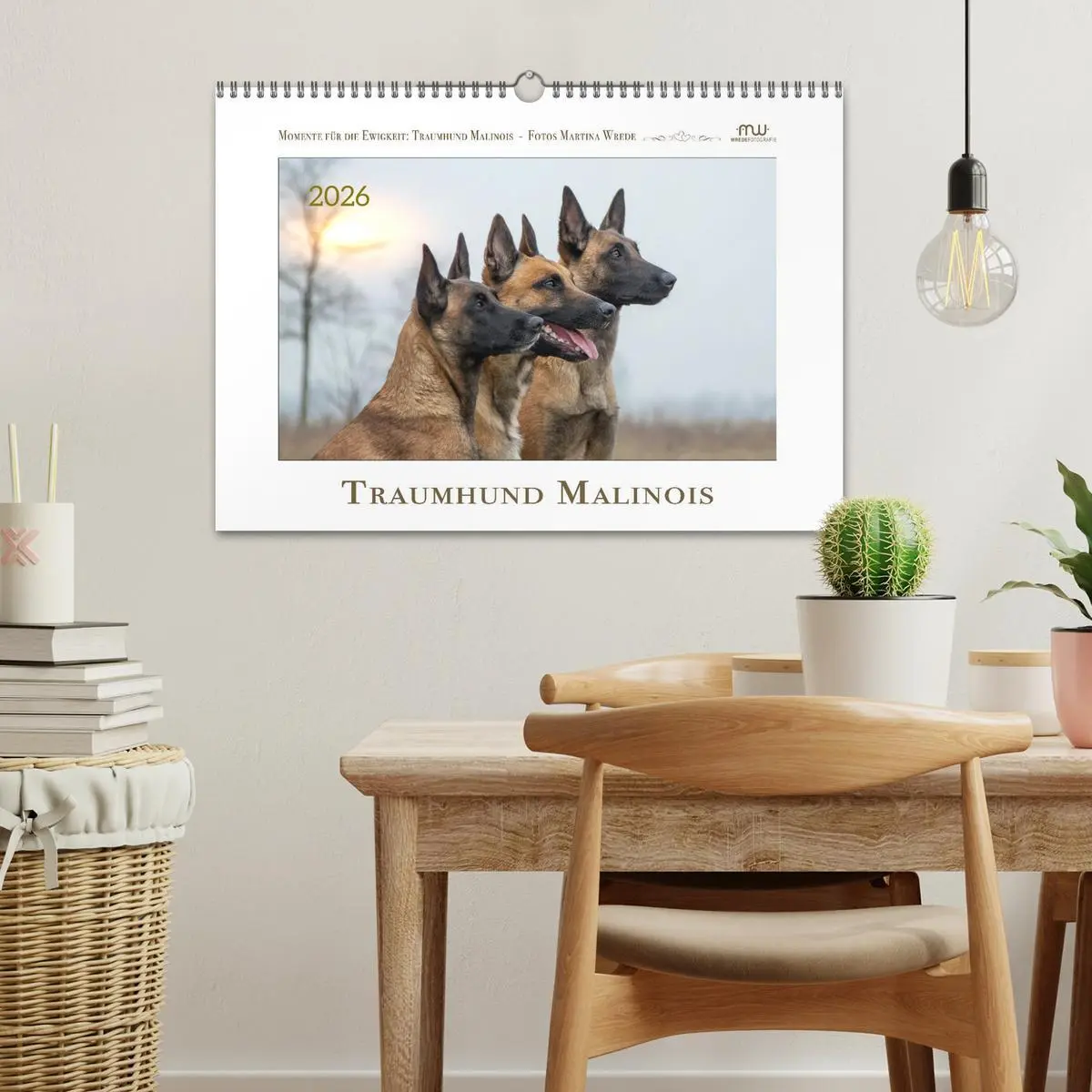 Bild: 9783457262931 | Traumhund Malinois (Wandkalender 2026 DIN A3 quer), CALVENDO...