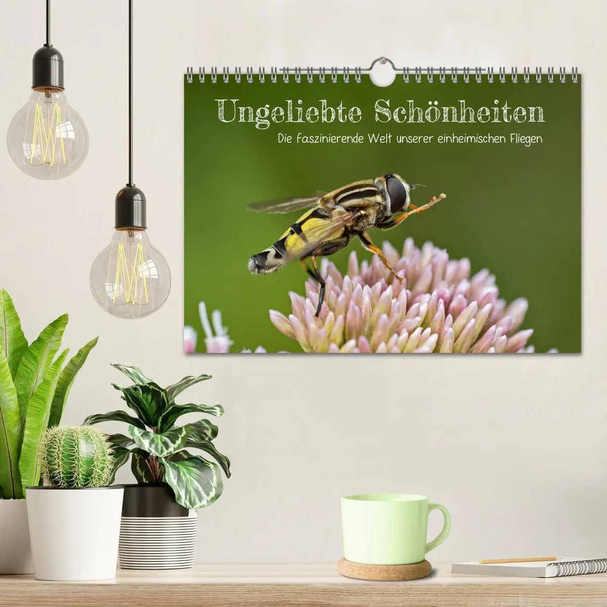 Bild: 9783457572931 | Ungeliebte Schönheiten - die faszinierende Welt unserer heimischen...