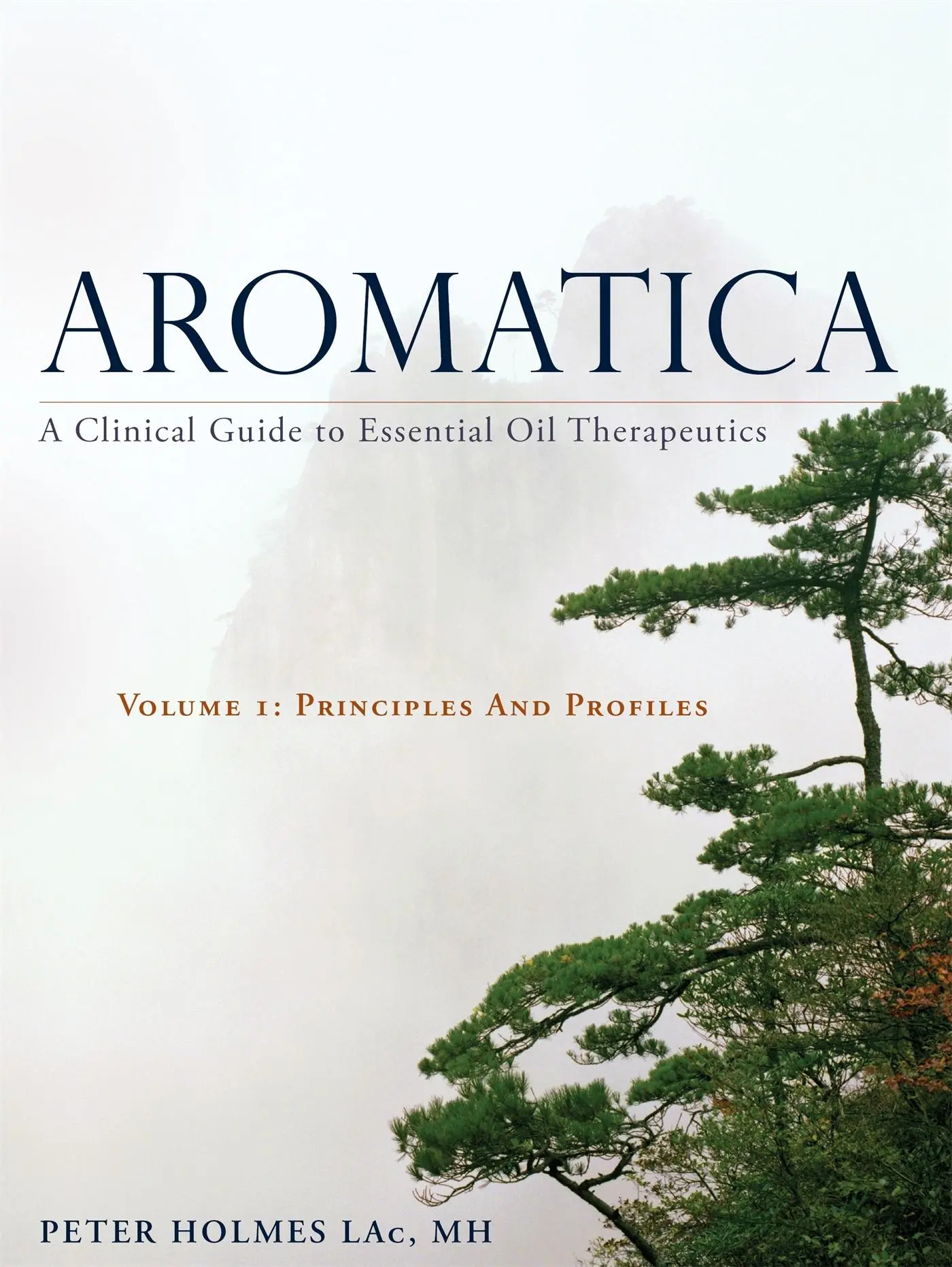 Cover: 9781848193031 | Aromatica Volume 1 | Peter Holmes | Buch | Gebunden | Englisch | 2016