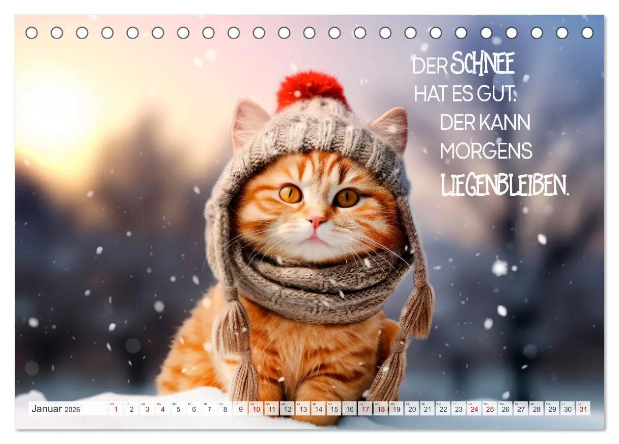 Bild: 9783457463031 | Süße Katzen und coole Sprüche (Tischkalender 2026 DIN A5 quer),...