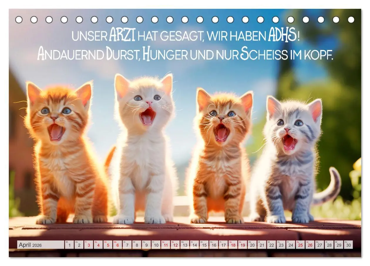 Bild: 9783457463031 | Süße Katzen und coole Sprüche (Tischkalender 2026 DIN A5 quer),...