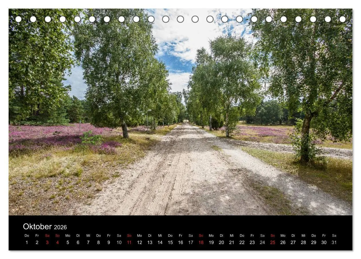Bild: 9783516173031 | Lüneburger Heide (Tischkalender 2026 DIN A5 quer), CALVENDO...