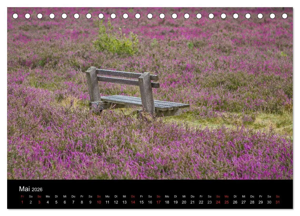 Bild: 9783516173031 | Lüneburger Heide (Tischkalender 2026 DIN A5 quer), CALVENDO...