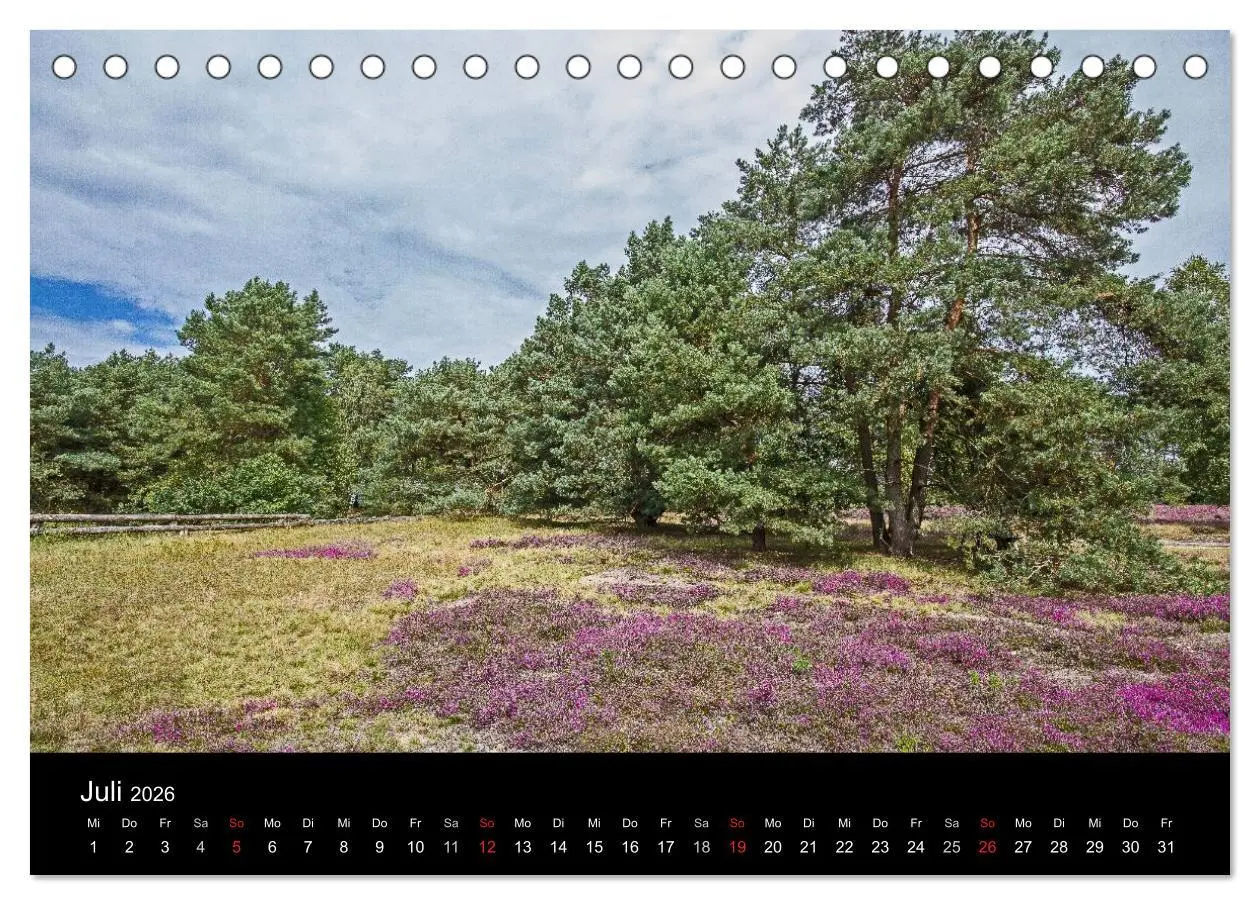 Bild: 9783516173031 | Lüneburger Heide (Tischkalender 2026 DIN A5 quer), CALVENDO...