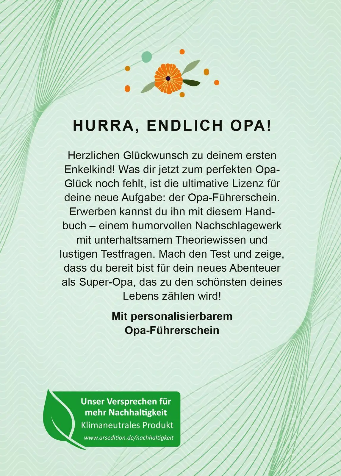 Rückseite: 9783845853031 | Führerschein - endlich Opa | Paulus Vennebusch | Taschenbuch | 48 S.