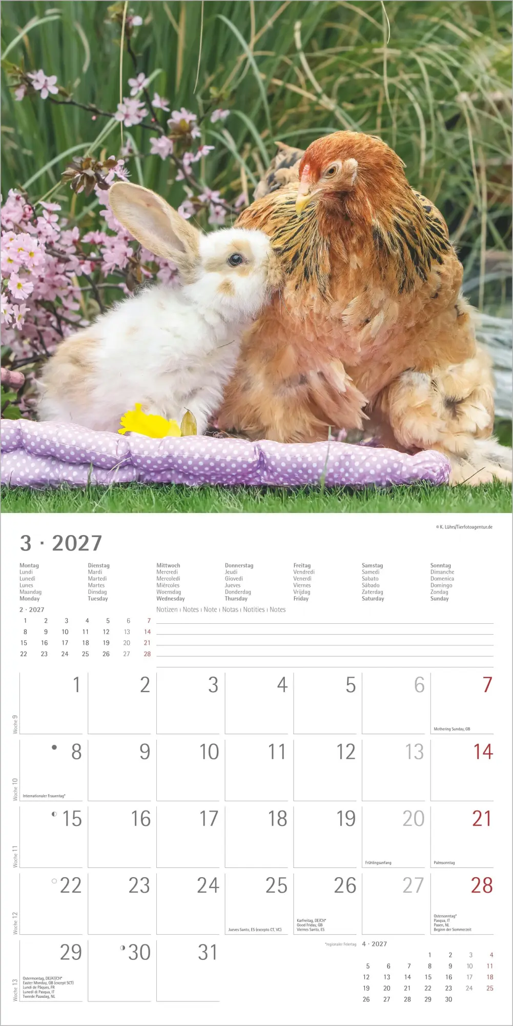 Bild: 4069095013131 | Tierfreundschaften 2027 | Neumann Verlage GmbH &amp; Co KG | Kalender