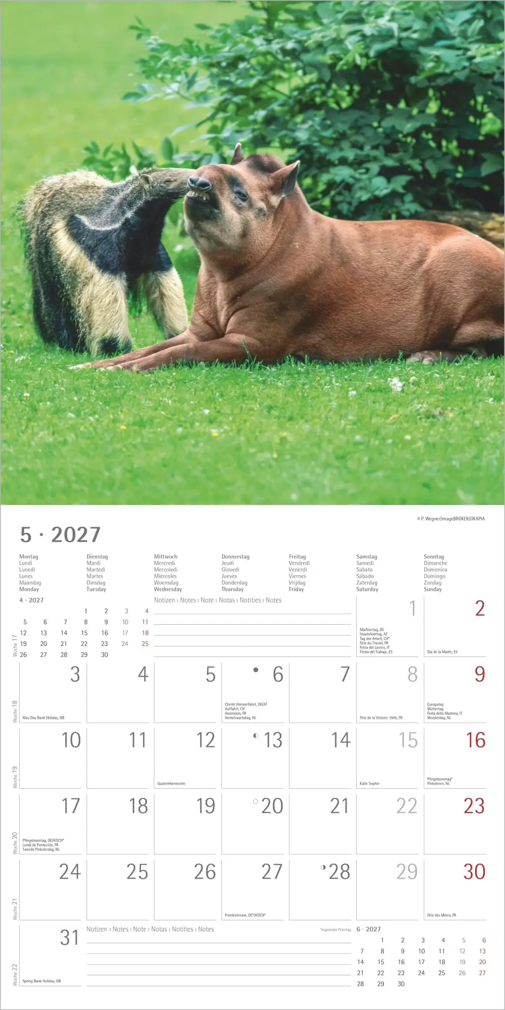 Bild: 4069095013131 | Tierfreundschaften 2027 | Neumann Verlage GmbH &amp; Co KG | Kalender